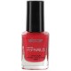 Esmaltes Miss Cop Gama de rojos