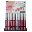 Lip Gloss Extrabrillante